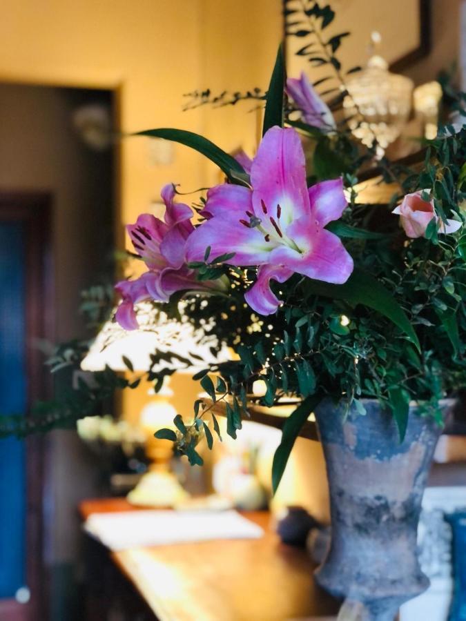Casa Cambini Bed and Breakfast Marina di Massa Εξωτερικό φωτογραφία