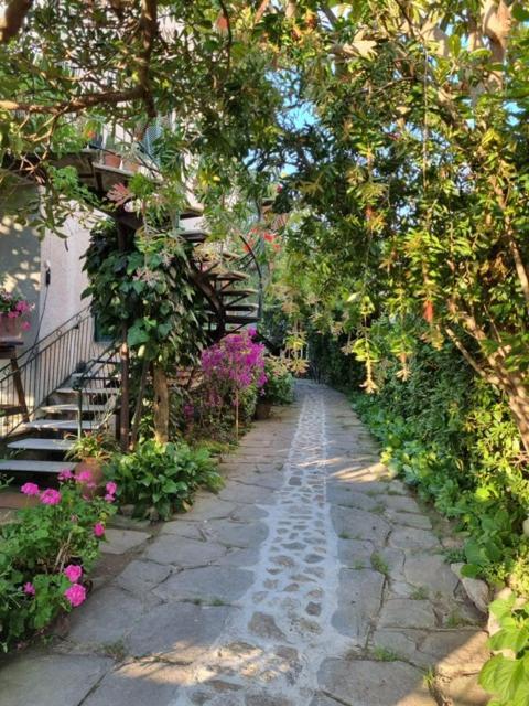 Casa Cambini Bed and Breakfast Marina di Massa Εξωτερικό φωτογραφία