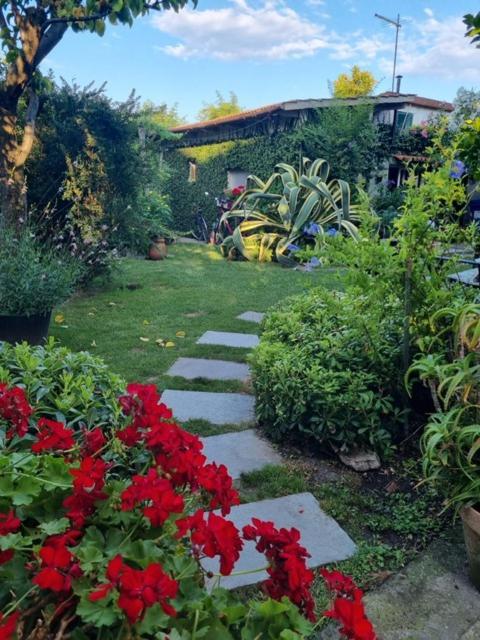 Casa Cambini Bed and Breakfast Marina di Massa Εξωτερικό φωτογραφία