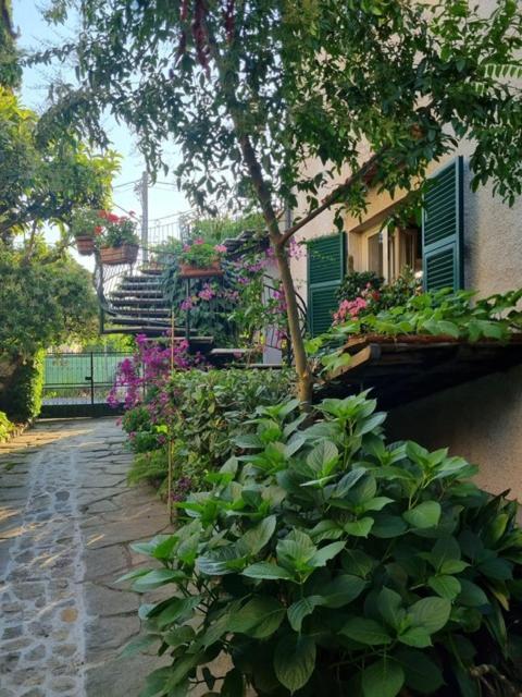 Casa Cambini Bed and Breakfast Marina di Massa Εξωτερικό φωτογραφία