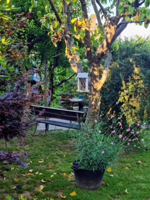 Casa Cambini Bed and Breakfast Marina di Massa Εξωτερικό φωτογραφία